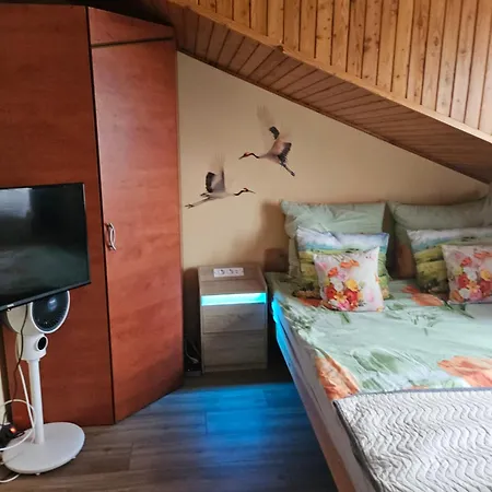 Aldona * Jastrzębia Góra
